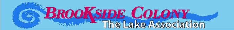 The Lake Association
